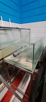 Stekkenbak aquarium, Dieren en Toebehoren, Vissen | Aquaria en Toebehoren, Ophalen, Zo goed als nieuw, Plant(en), Steen of Hout