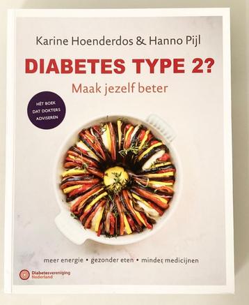 Hanno Pijl - Diabetes type 2? Maak jezelf beter. beschikbaar voor biedingen