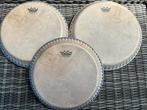 Remo Skyndeep Conga vellen o.a. voor Latin Percussion LP, Ophalen, Zo goed als nieuw