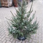 kerstboom met houder, Diversen, Kerst, Ophalen, Nieuw