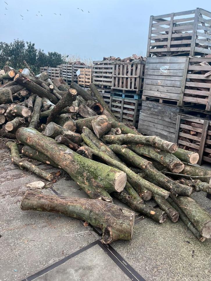 Stammen essenhout, Tuin en Terras, Haardhout, Minder dan 3 m³, Ophalen