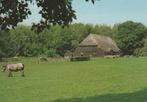 HEINKENSZAND Boerenschuur met Paard, Verzenden, 1980 tot heden, Gelopen, Zeeland