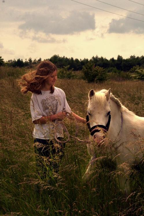 Verzorger aangeboden/verzorgpony gezocht, Dieren en Toebehoren, Paarden en Pony's | Verzorgingsproducten, Nieuw, Ophalen