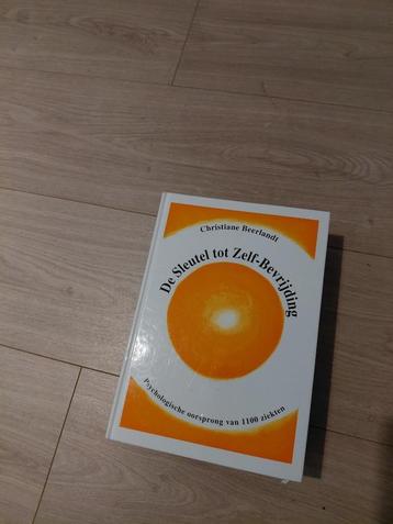 Christiane Beerlandt - De sleutel tot zelf-bevrijding beschikbaar voor biedingen