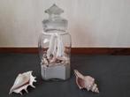 Decoratie pot met schelpen, Huis en Inrichting, Woonaccessoires | Overige, Ophalen of Verzenden, Gebruikt