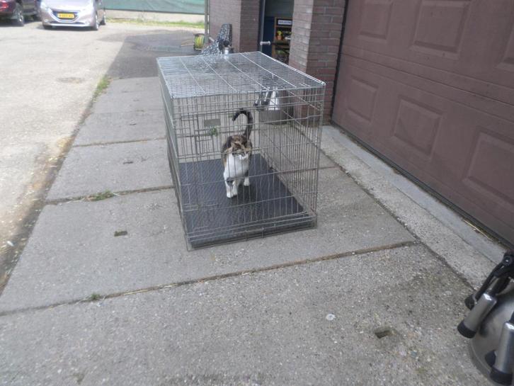 BENCH  verschillende maten, Dieren en Toebehoren, Hondenbenches, Gebruikt, Ophalen
