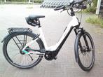 Pegasus Premio EVO 5F electrische fiets / elektrische fiets, Overige merken, 53 tot 56 cm, Nieuw, Pegasus