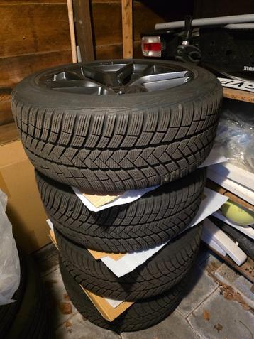 Tesla 19 inch Borbet+Vredestein Winterset  255/45/19 beschikbaar voor biedingen