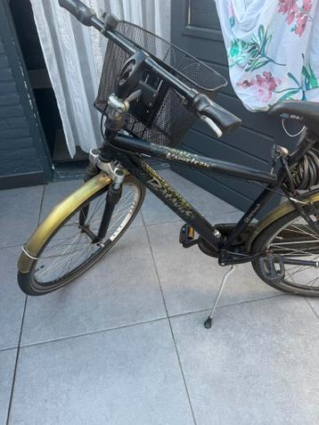 Fiets met mandje