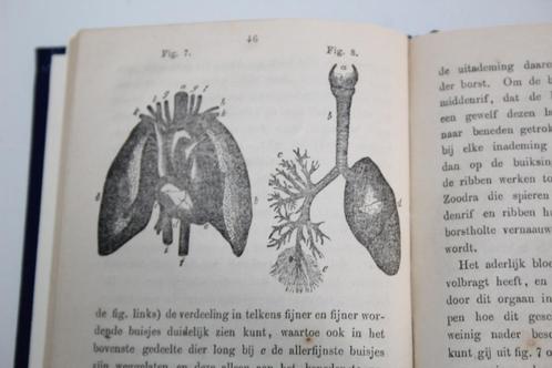 De Mensch. Leesboek door J.E. Helge (1862), Antiek en Kunst, Antiek | Boeken en Bijbels, Ophalen of Verzenden