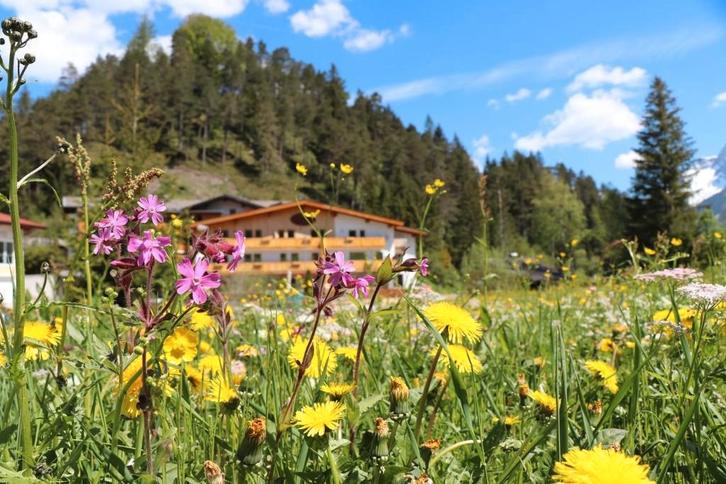 Ons appartement in Oostenrijk te huur!, Vakantie, Vakantiehuizen | Oostenrijk, Tirol, Appartement, Overige, In bergen of heuvels