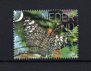 Beleef de Natuur 2024 Cracker beschikbaar voor biedingen