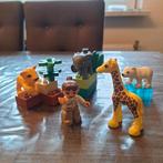 Duplo baby dierentuin.  Uit Emmerschans, Ophalen, Gebruikt, 1 speler, Racen en Vliegen