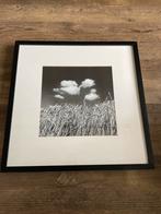 Zwarte Houten Lijst - 52,5x52,5 cm, Ophalen, Gebruikt, Foto of Poster, 50 tot 75 cm