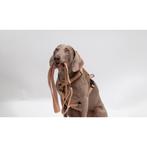 Hondenriem, Dieren en Toebehoren, Ophalen of Verzenden, Nieuw, Hondenriem