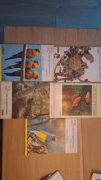 Zo leer je vogels kennen - RIZLA boeken, Boeken, Ophalen of Verzenden, Gelezen, Vogels, Ko Zweeres, Rinke Tolman, A. van den Nieuwenhuizen