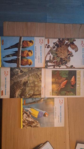 Zo leer je vogels kennen - RIZLA boeken beschikbaar voor biedingen