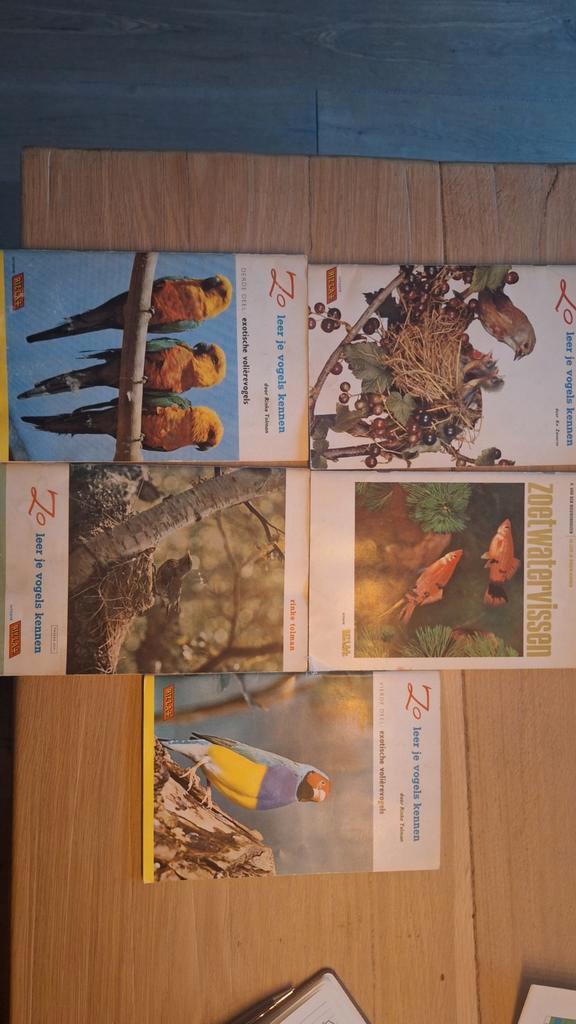 Zo leer je vogels kennen - RIZLA boeken, Boeken, Natuur, Gelezen, Vogels, Ophalen of Verzenden