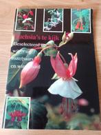 FUCHSIA,S TE KIJK, Verzenden, Gelezen