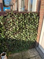 Kunsthaag 15 stuks klimop, Tuin en Terras, Schuttingen, Ophalen, Zo goed als nieuw, Minder dan 3 meter, Minder dan 1 meter