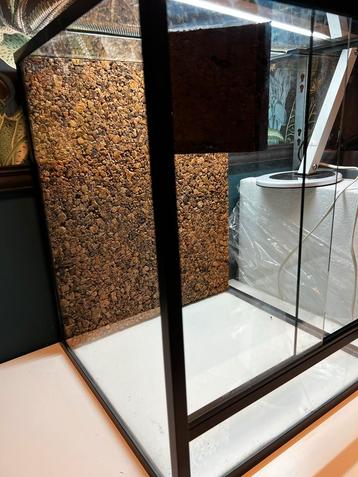Terrarium 40x40x50 – met kurk achterwand & boomschors deco beschikbaar voor biedingen