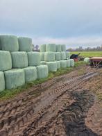 Midibalen hooi, Zakelijke goederen, Agrarisch | Veevoer, Ophalen