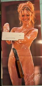 Poster Playmate November 1996 Tatjana Simic, Verzamelen, Rechthoekig Staand, Verzenden, Deurposter of groter, Zo goed als nieuw