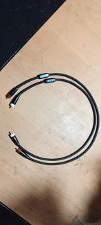 Erumpent analoge interlinks, Ophalen of Verzenden, Zo goed als nieuw, Minder dan 2 meter, Interlink-kabel