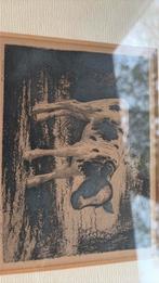 Etsje kalf, Antiek en Kunst, Kunst | Etsen en Gravures, Verzenden