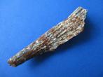 Fossiel deel van een gewei of hoorn uit Hongarije, Beremend, Verzamelen, Mineralen en Fossielen, Verzenden, Fossiel