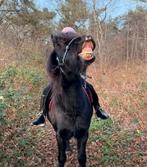 Paardrijlessen voor kinderen, Dieren en Toebehoren, Ophalen of Verzenden, Zo goed als nieuw