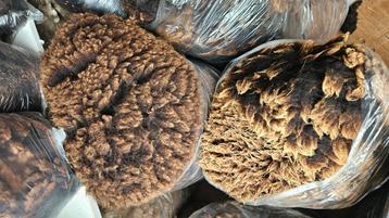 Wol, schapenwol beschikbaar voor biedingen