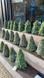 Kerstboompjes 30 cemtimeter hoog!, Diversen, Kerst, Ophalen, Nieuw