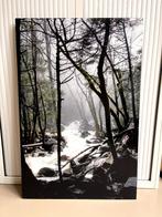 Natuurfoto - Yosemite Park, Ophalen, 75 tot 100 cm, 75 cm of meer, Print