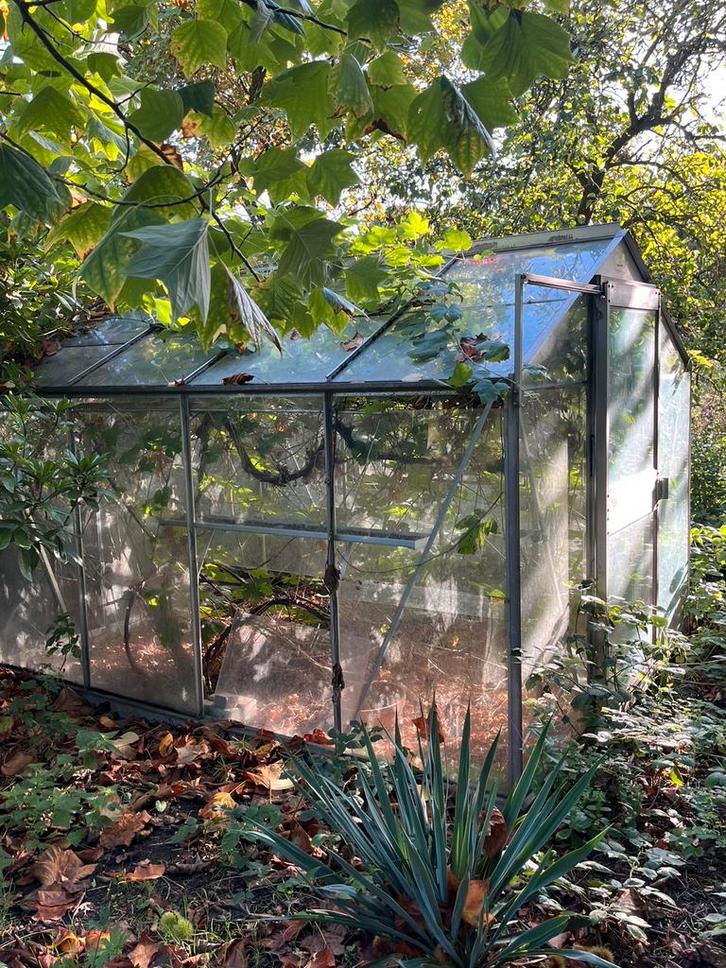 Tuinkas met schuifdeur en dakraam 3 x 2,25M, Tuin en Terras, Kassen, Zo goed als nieuw, Aluminium, Glas, Ophalen of Verzenden