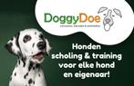 Speciaal voor jouw hond of pup, Ophalen of Verzenden, Nieuw