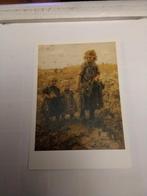 KINDEREN IN EEN HOOILAND, Ophalen of Verzenden, Kinderen