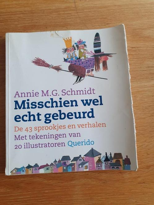 Misschien wel echt gebeurt, Boeken, Sprookjes en Fabels, Zo goed als nieuw, Ophalen of Verzenden