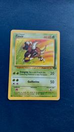 Pinsir 25/64 Jungle EN, Ophalen of Verzenden, Zo goed als nieuw, Losse kaart
