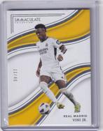 Panini Immaculate 2023-24 Vini Jr. Real Madrid Silver /40, Hobby en Vrije tijd, Stickers en Plaatjes, Ophalen of Verzenden, Zo goed als nieuw