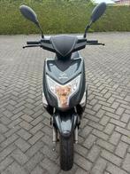 Nipponia E-Rex, scooter/brommer, Ophalen, Nipponia, Maximaal 45 km/u, Zo goed als nieuw