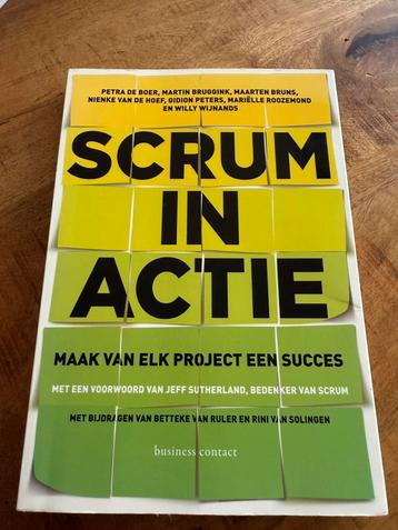 Mariëlle Roozemond - Scrum in actie beschikbaar voor biedingen