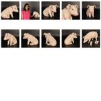 Sitting Piglet – Varken beeld - Big Lengte 38 cm, Verzamelen, Dierenverzamelingen, Ophalen, Nieuw, Overige soorten, Overige typen
