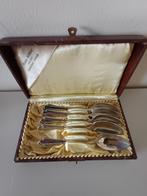 Verzilverde lepeltjes (6 stuks), Ophalen of Verzenden