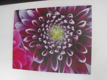 canvas doek voor binnen of buiten beschikbaar voor biedingen