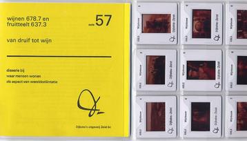 Wijnbouw - champagne - 9 Dia's + boekje Wijn maken druiven beschikbaar voor biedingen