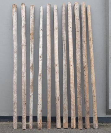 1 set 11 stuks Kastanjepaal hout 4 meter beschikbaar voor biedingen