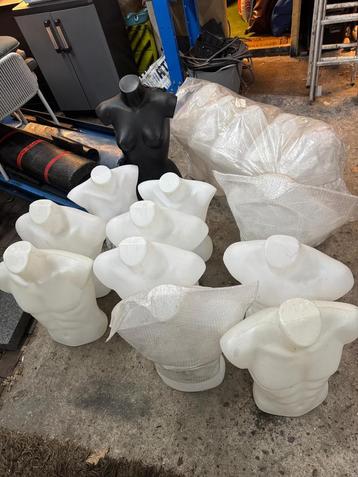 Paspop / torso’s te koop beschikbaar voor biedingen