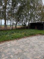 Te huur weiland voor paard(en), Dieren en Toebehoren, Stalling en Weidegang, 2 of 3 paarden of pony's