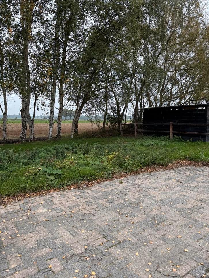 Te huur stuk voor paard/pony, Dieren en Toebehoren, Stalling en Weidegang, Stalling, 2 of 3 paarden of pony's